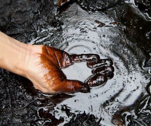 Indicators for Trading Energy Commodities